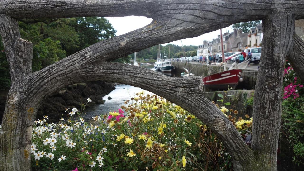 Aux Portes De Pont-Aven, Maison Pleine De Charme Eksteriør bilde